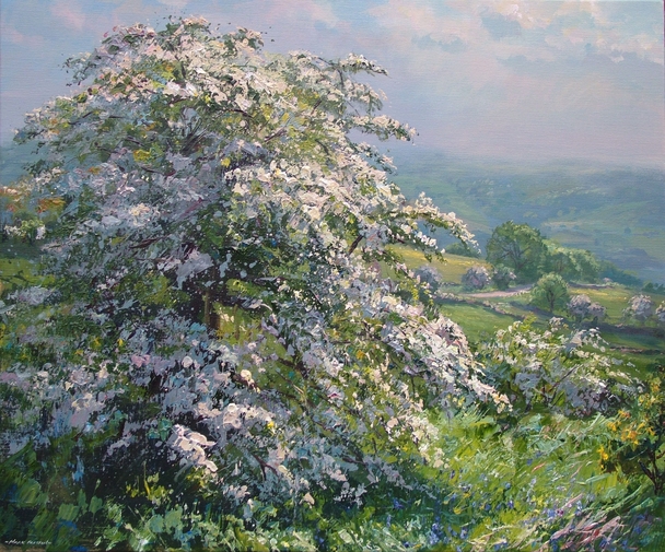 Mark Preston - mayblossom, alport height